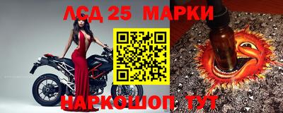 ПСИЛОЦИБИНОВЫЕ ГРИБЫ Дубна