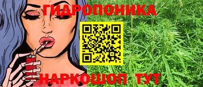 СК Апшеронск