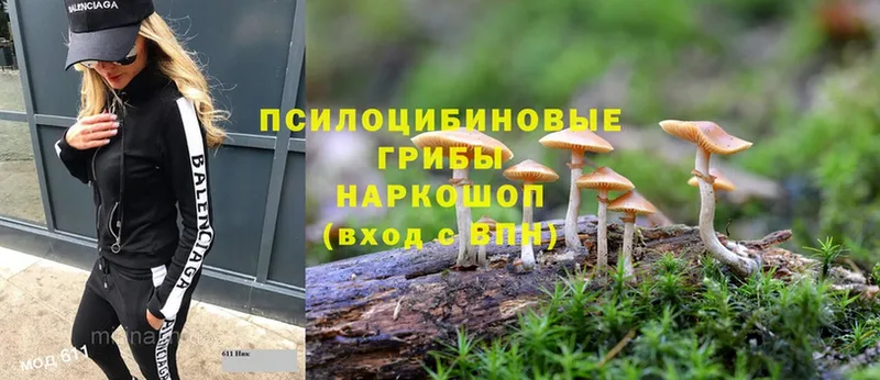 Псилоцибиновые грибы MAGIC MUSHROOMS  где найти   Карачаевск 