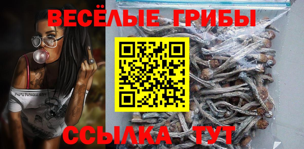 Карачаевск  Галлюциногенные грибы прущие грибы  Вход с VPN  где продают наркотики  Псилоцибиновые грибы Cubensis 
