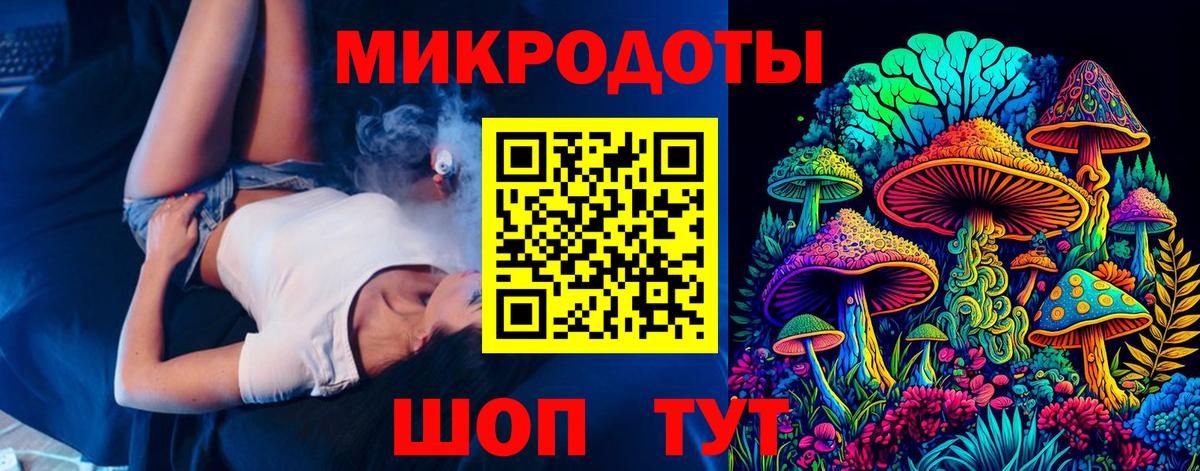 Галлюциногенные грибы Psilocybine cubensis  Карачаевск 