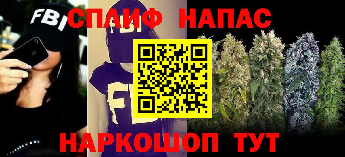 Гашиш Карачаевск